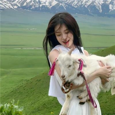 狼群的冲突